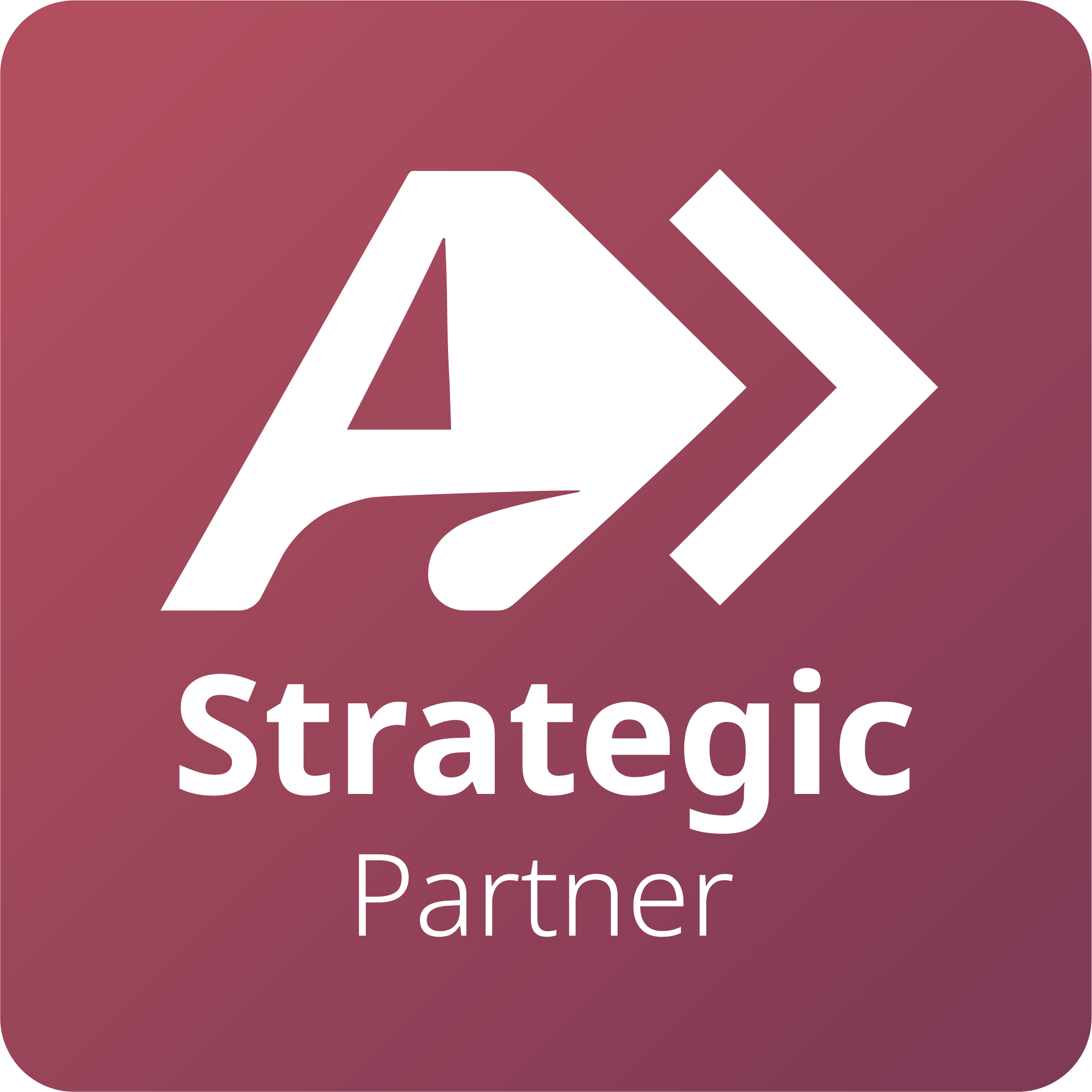 AnyDesk Strategic Partner